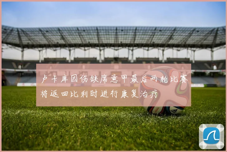 卢卡库因伤缺席意甲最后两轮比赛将返回比利时进行康复治疗